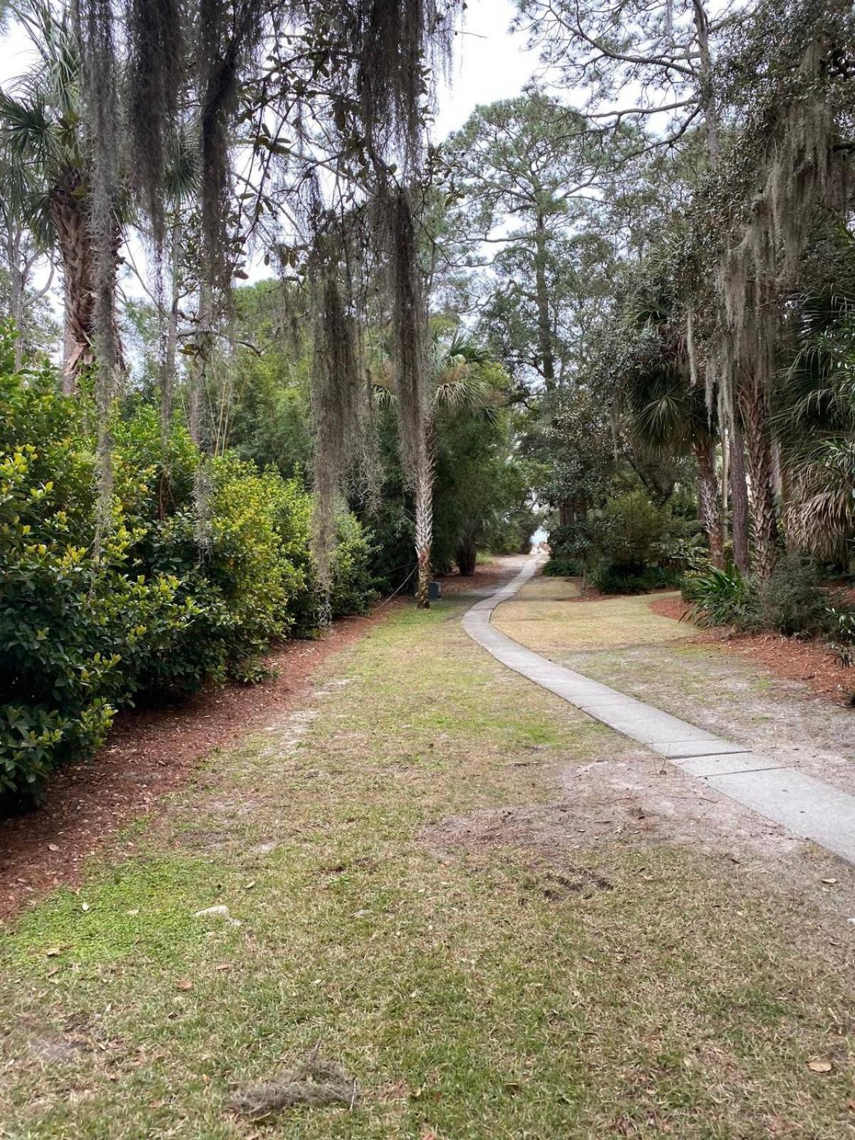6 Wood Ibis - Host2Coast Villa Hilton Head Island Buitenkant foto